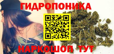 МДПВ Лесосибирск