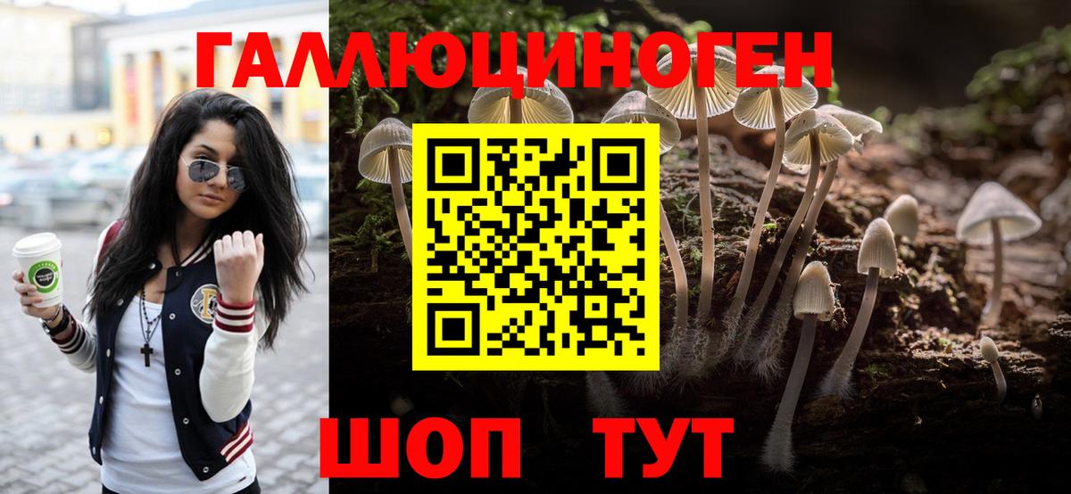 Псилоцибиновые грибы Psilocybe Северобайкальск